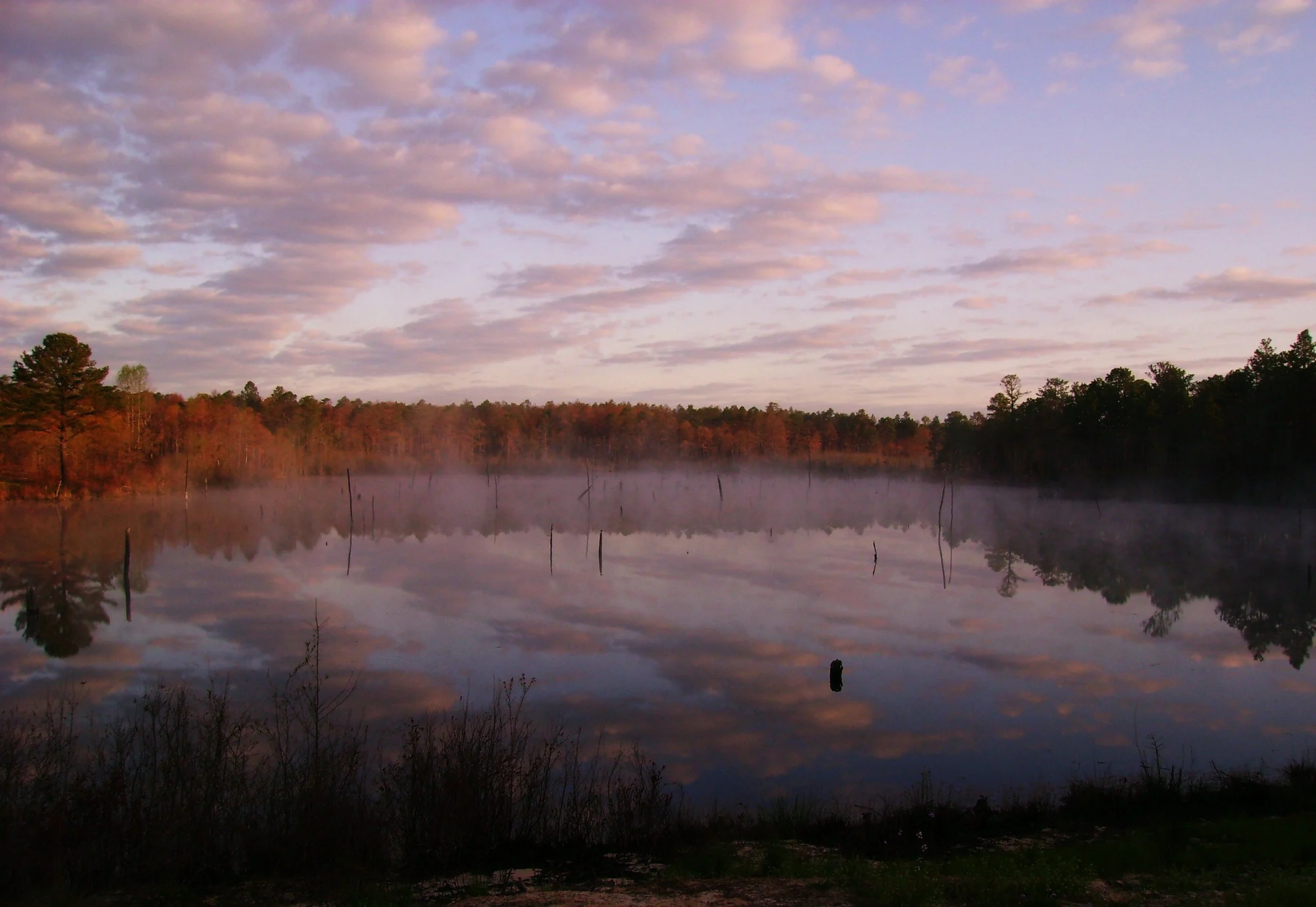 Colorful sky reflected in Pool D at Carolina Sandhills National Wildlife Refuge.